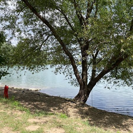 Camping Oaza Bela Crkva  Exterior foto